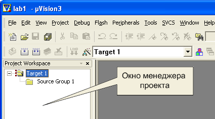 Внешний вид окна менеджера проекта после создания программного проекта. 7,2КБ